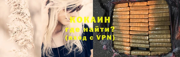твердый Абаза